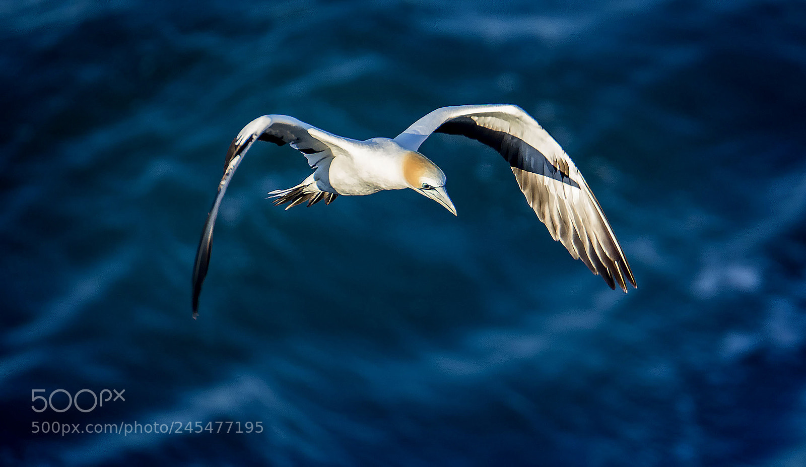 Canon EOS 7D Mark II sample photo. Over the ocean photography