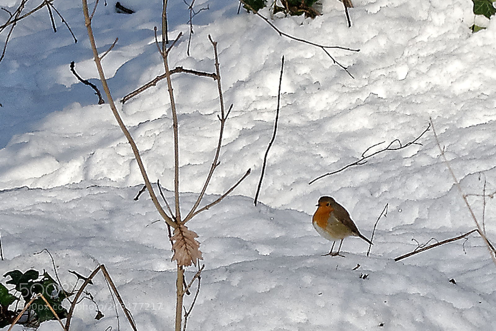 Nikon D3100 sample photo. Nice to meet you photography