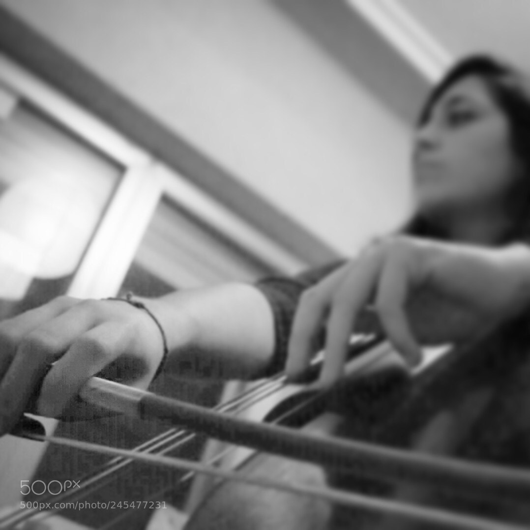 Nikon D7200 sample photo. Concentración photography