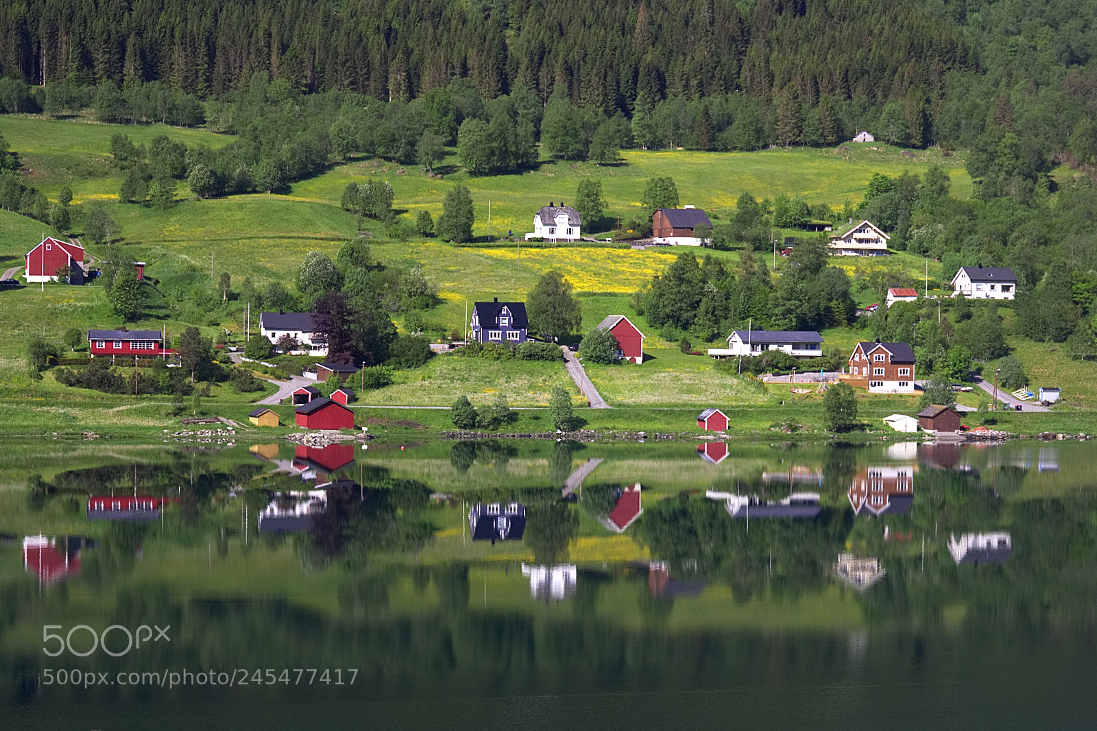 Canon EOS 550D (EOS Rebel T2i / EOS Kiss X4) sample photo. By the fjord photography