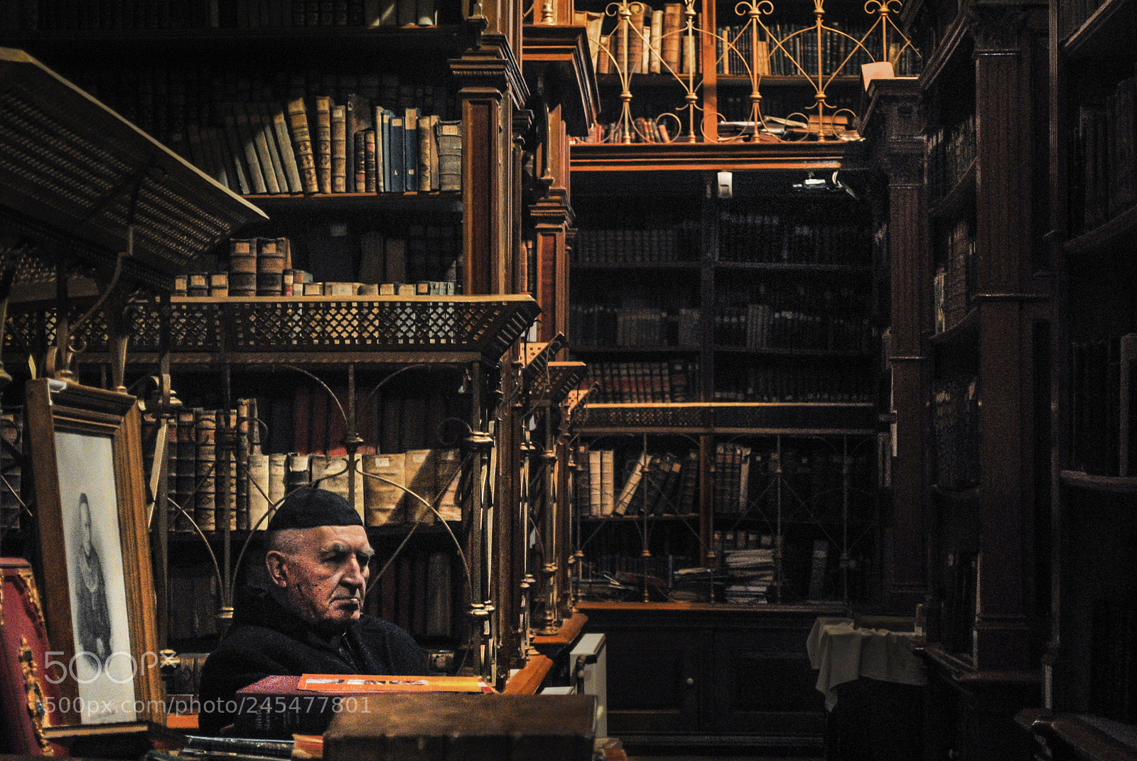 Nikon D3000 sample photo. Library keeper photography