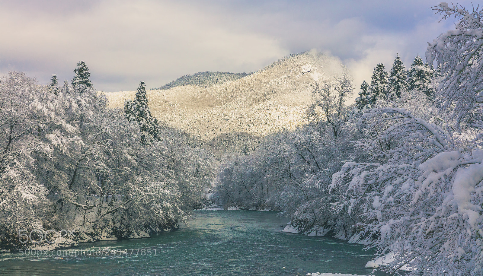 Canon EOS 5DS R sample photo. Fresh morning photography
