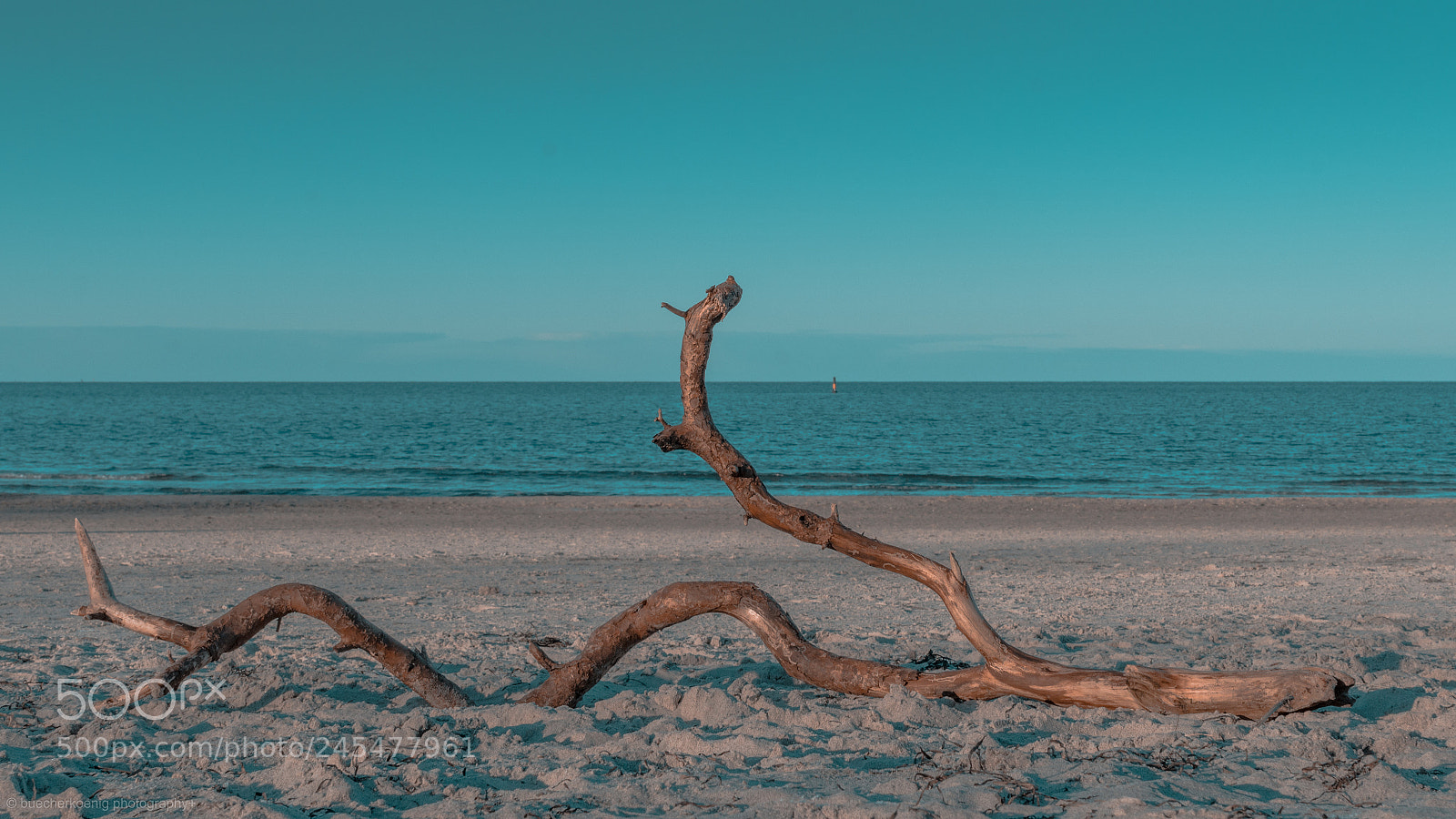 Nikon D7200 sample photo. Strandgut photography