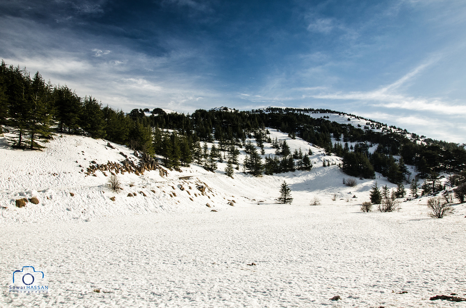 Nikon D5100 sample photo. One day later photography