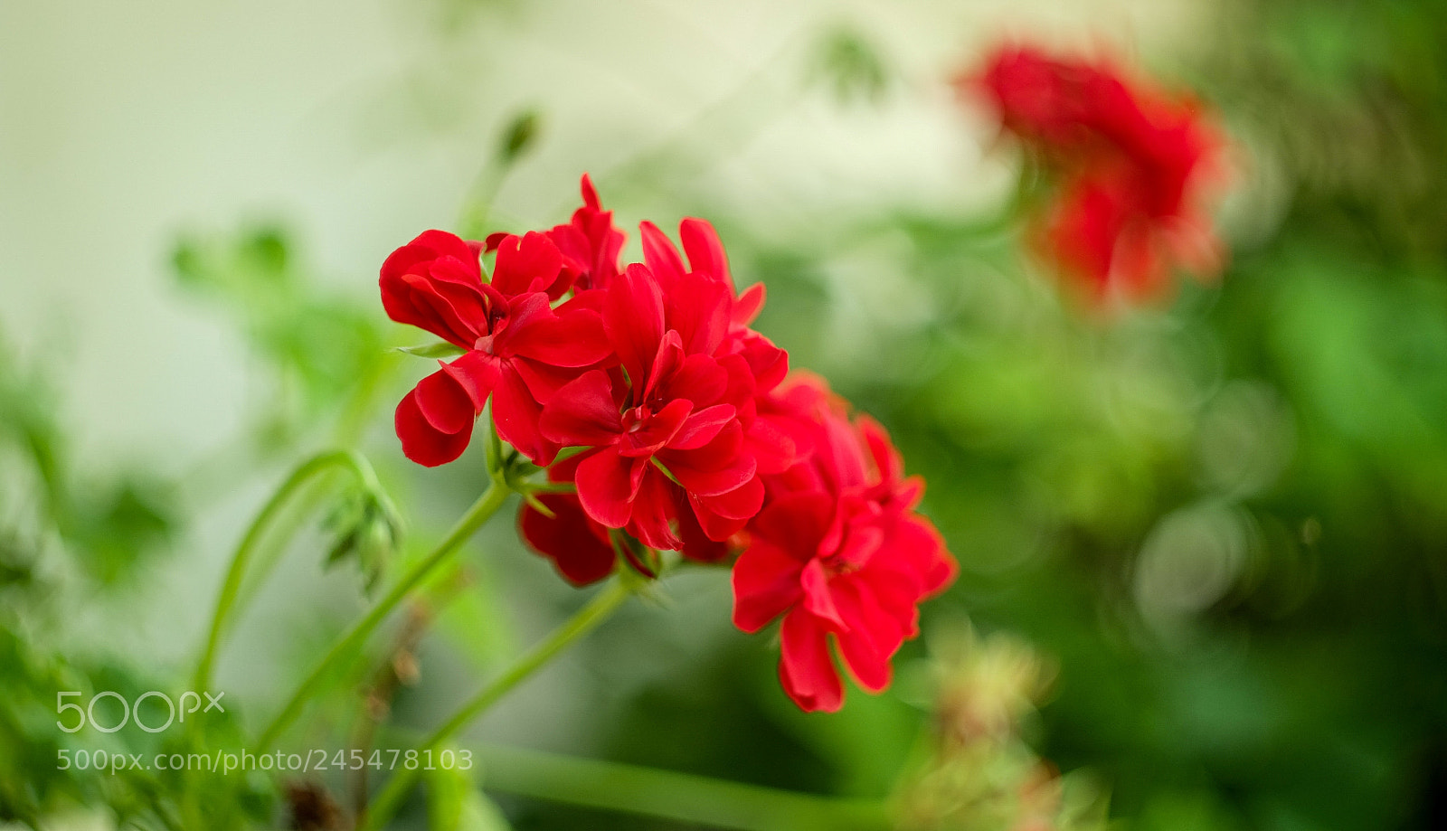 Fujifilm X-A1 sample photo. Untitled photography