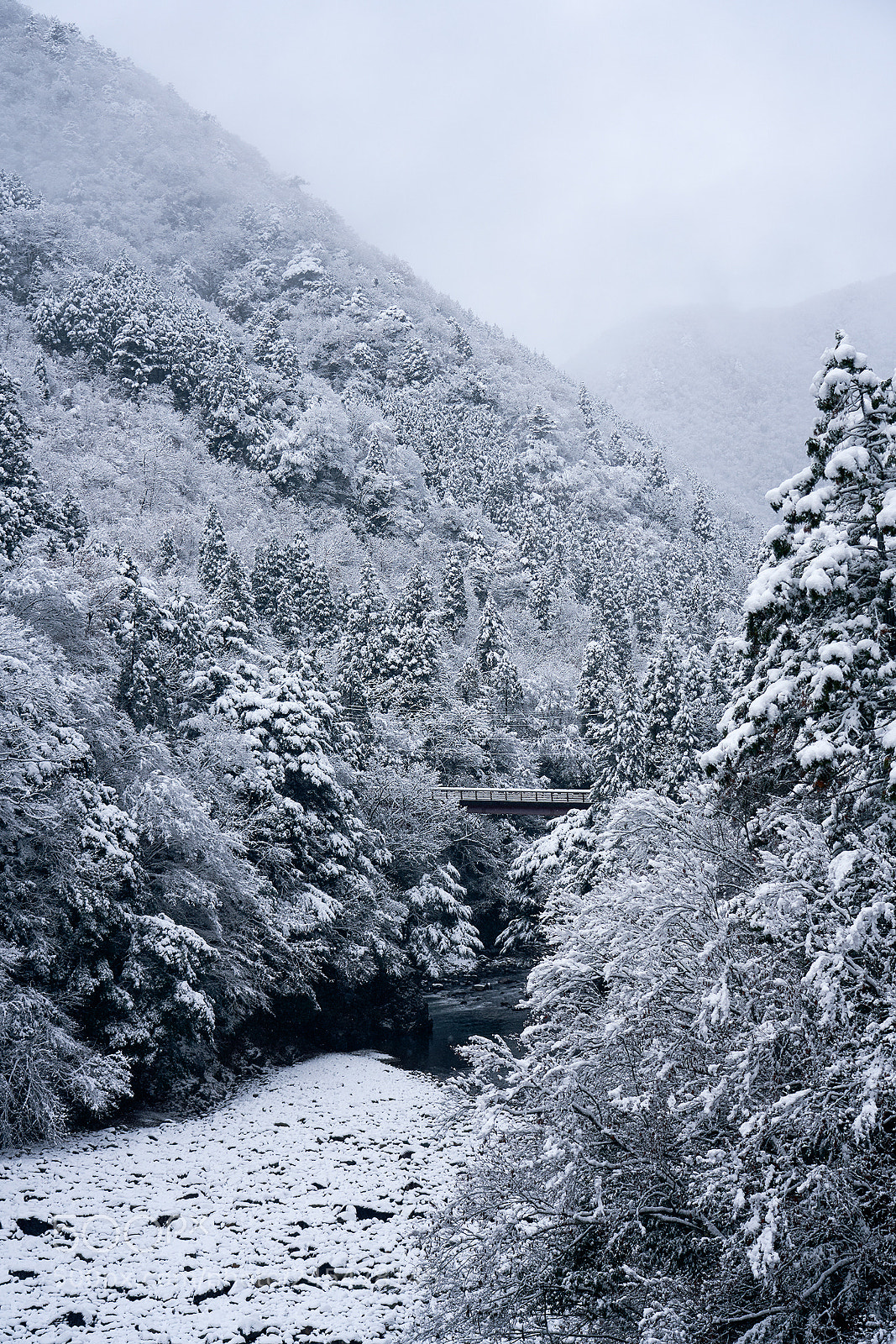 Sony a7R III sample photo. Gifu,japan photography