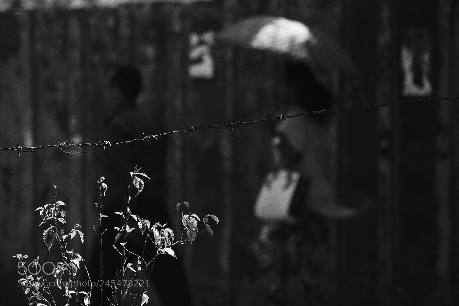 Nikon D7100 sample photo. Good afternoon photography