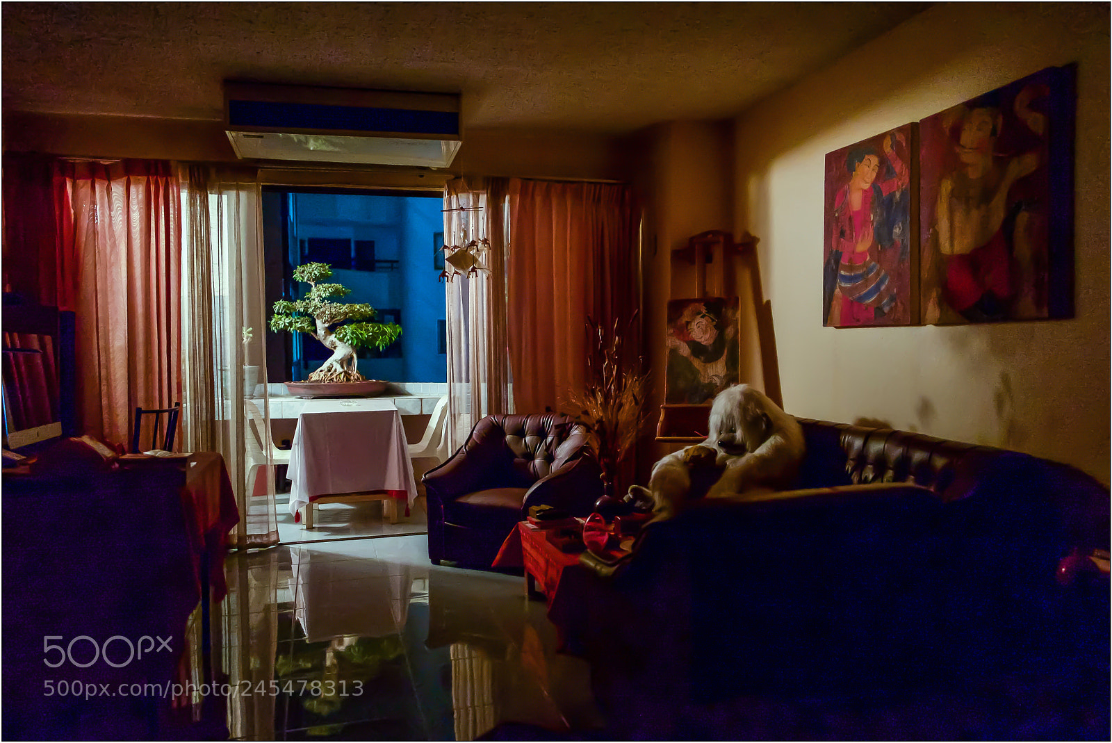 Leica Q (Typ 116) sample photo. Back home. photography