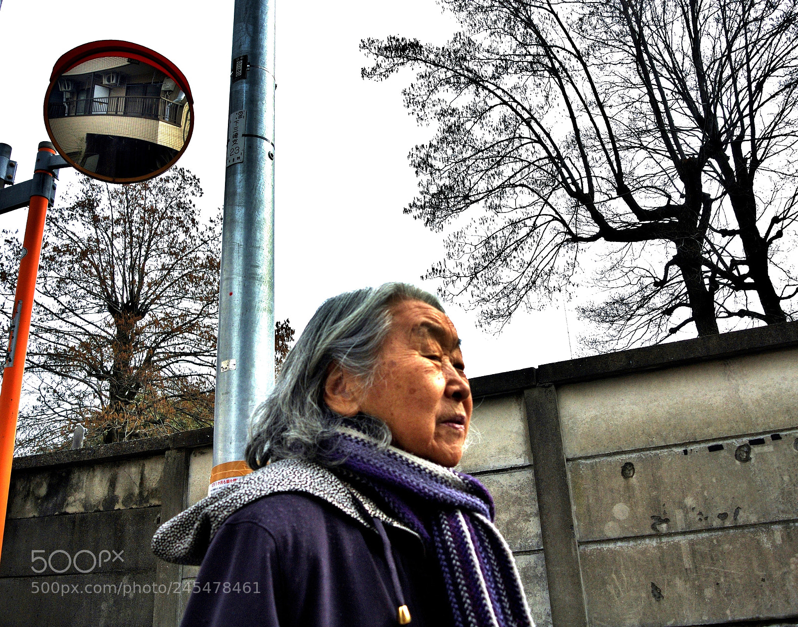 Nikon 1 V1 sample photo. Neighborhood granny photography