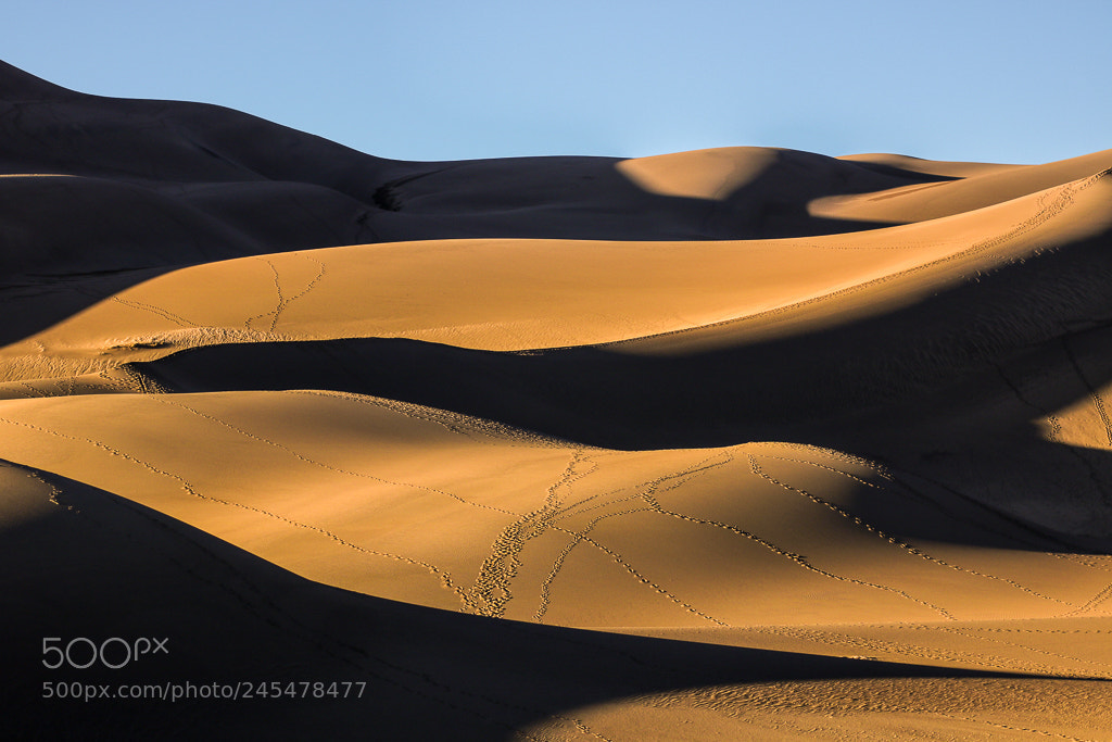 Canon EOS 750D (EOS Rebel T6i / EOS Kiss X8i) sample photo. Colorado dunes photography