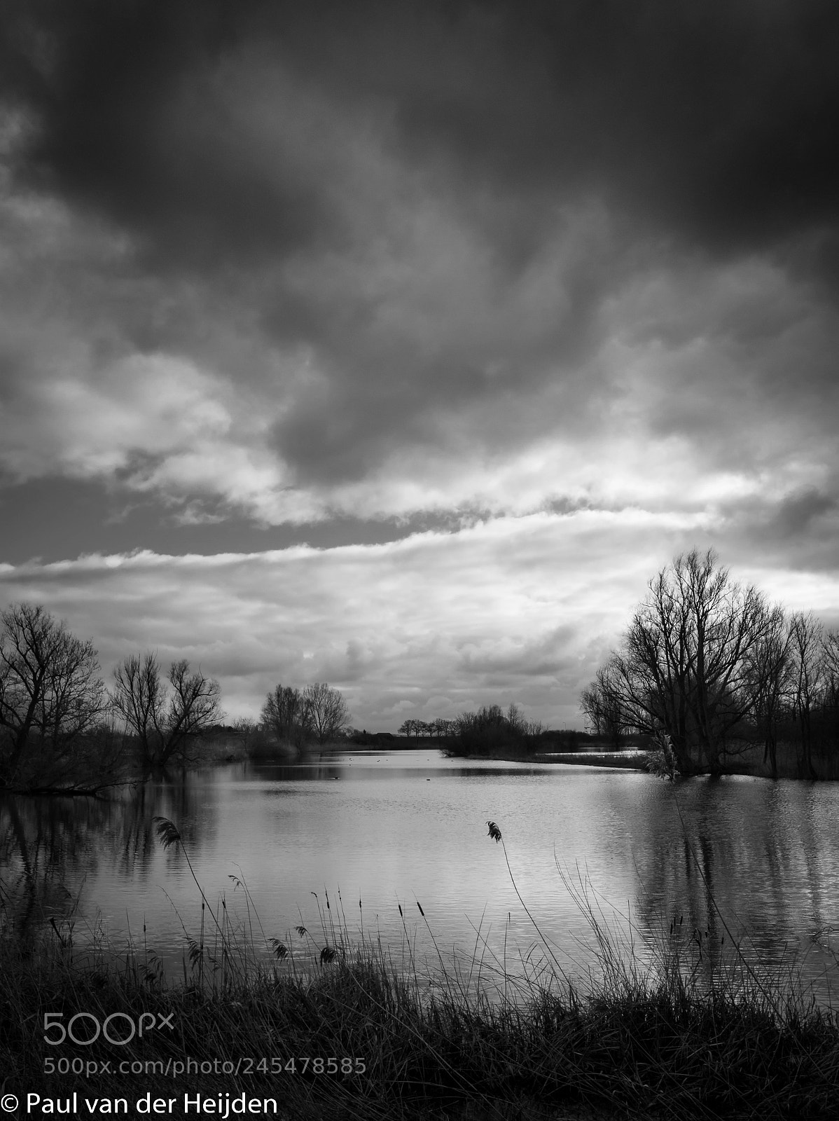 Nikon D7200 sample photo. Ooijpolder photography