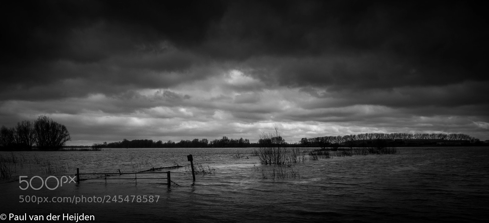 Nikon D7200 sample photo. River waal photography