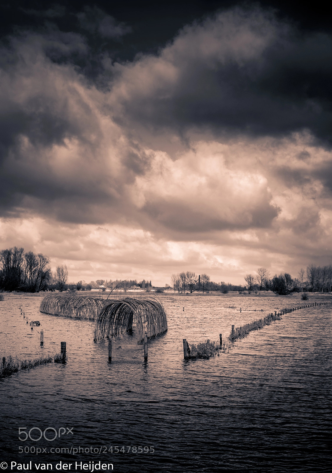 Nikon D7200 sample photo. River waal photography