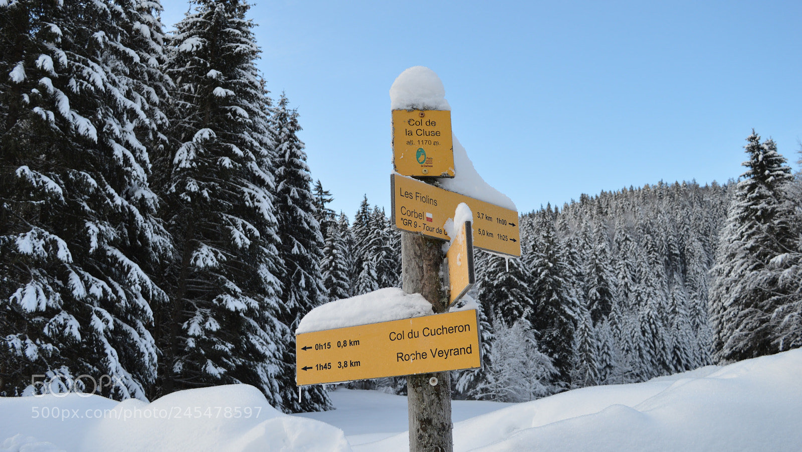 Nikon D3200 sample photo. 5.jpg photography
