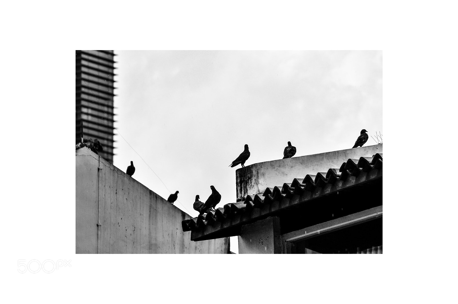 Nikon D90 sample photo. $tructures photography