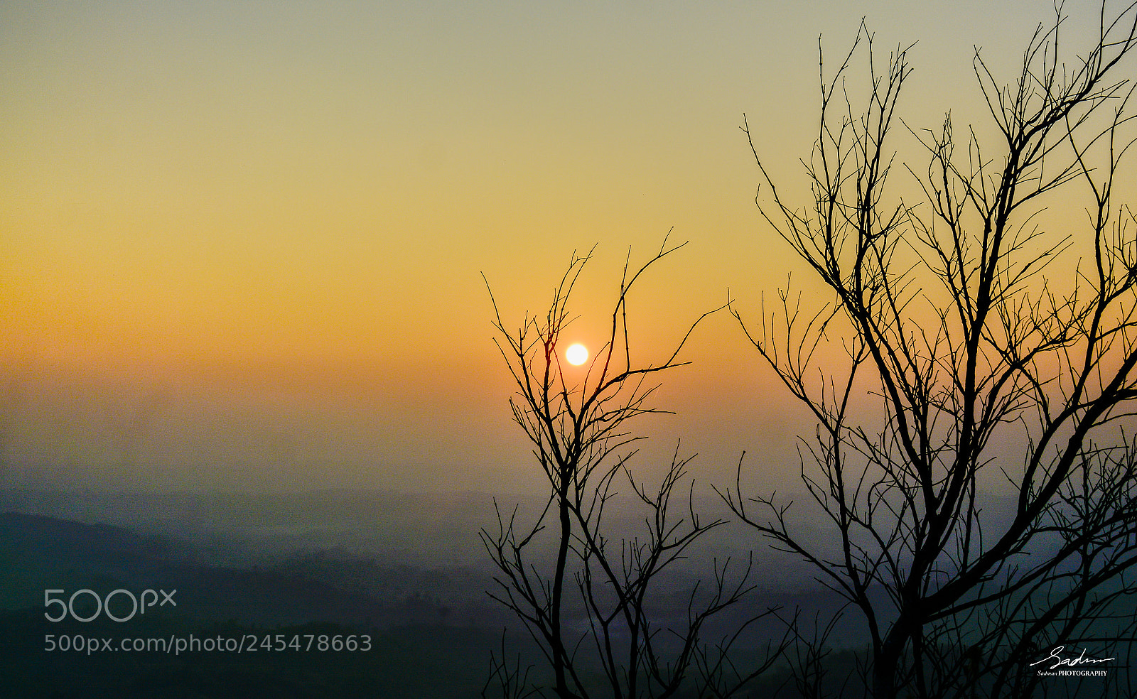 Nikon D7100 sample photo. Catch the sun photography