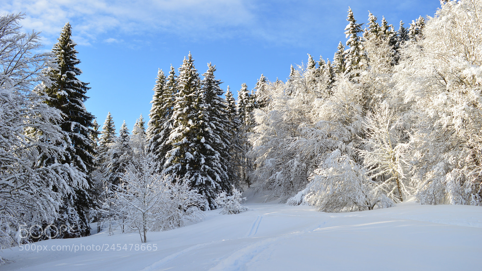 Nikon D3200 sample photo. 12.jpg photography