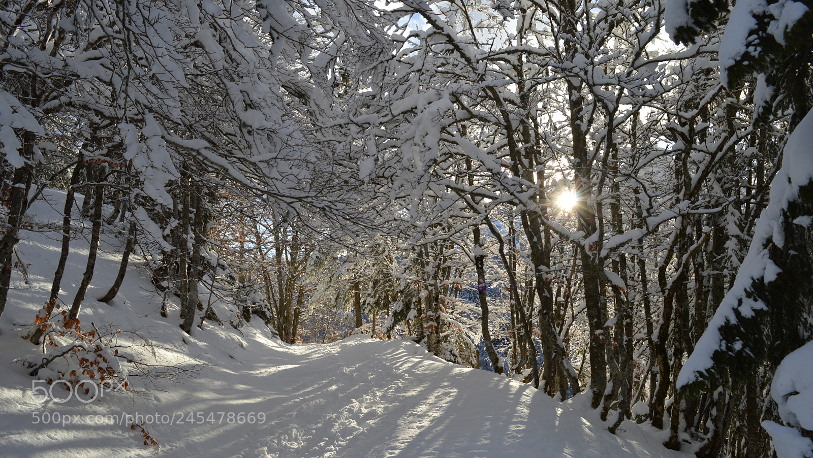 Nikon D3200 sample photo. 14.jpg photography