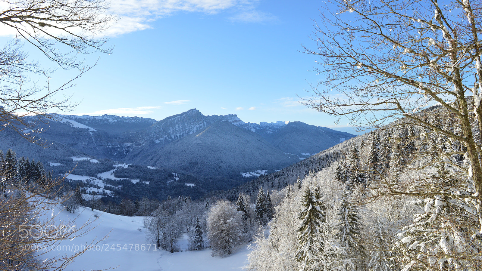 Nikon D3200 sample photo. 16.jpg photography