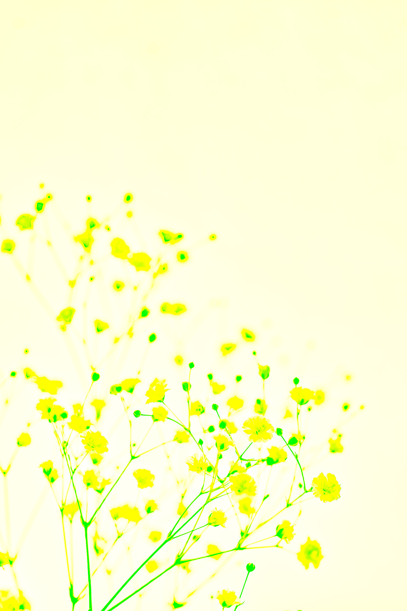 Sigma SD15 sample photo. Yellow photography