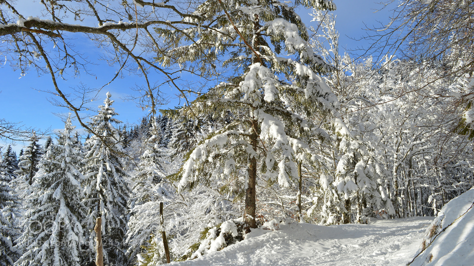 Nikon D3200 sample photo. 25.jpg photography
