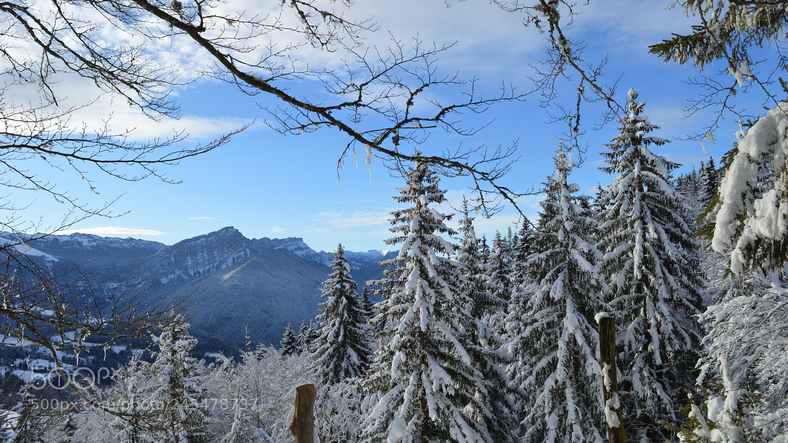 Nikon D3200 sample photo. 27.jpg photography
