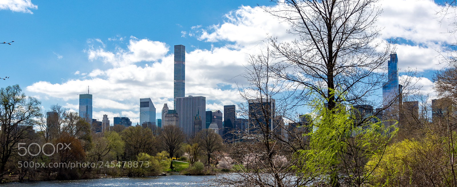 Nikon D5200 sample photo. Central park view photography
