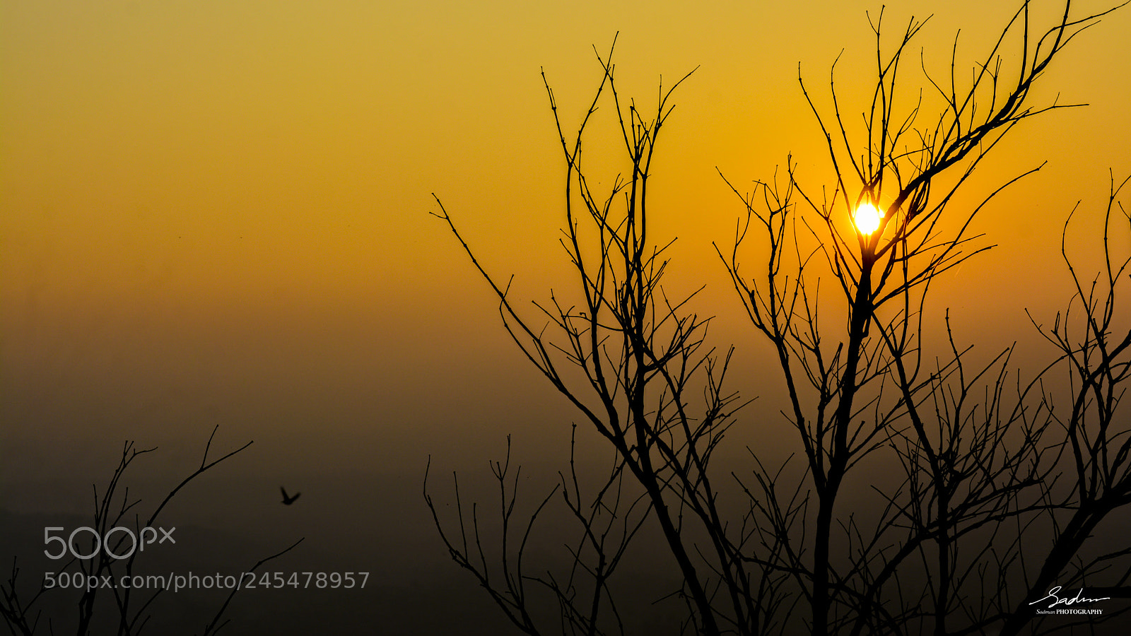 Nikon D7100 sample photo. Sunset, sajek photography