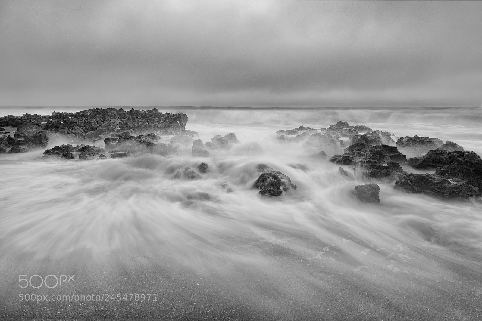 Nikon D850 sample photo. Moody morning photography