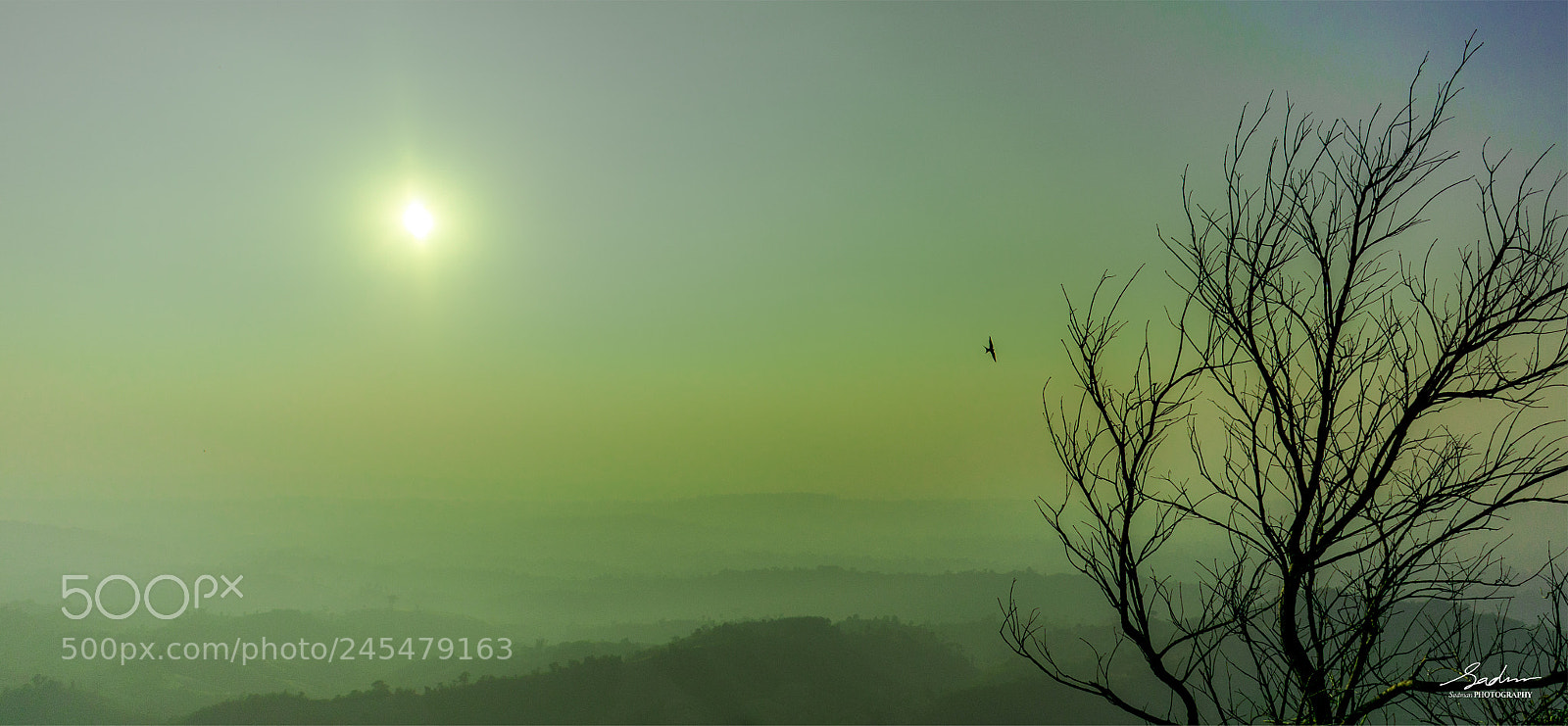 Nikon D7100 sample photo. Sajek photography