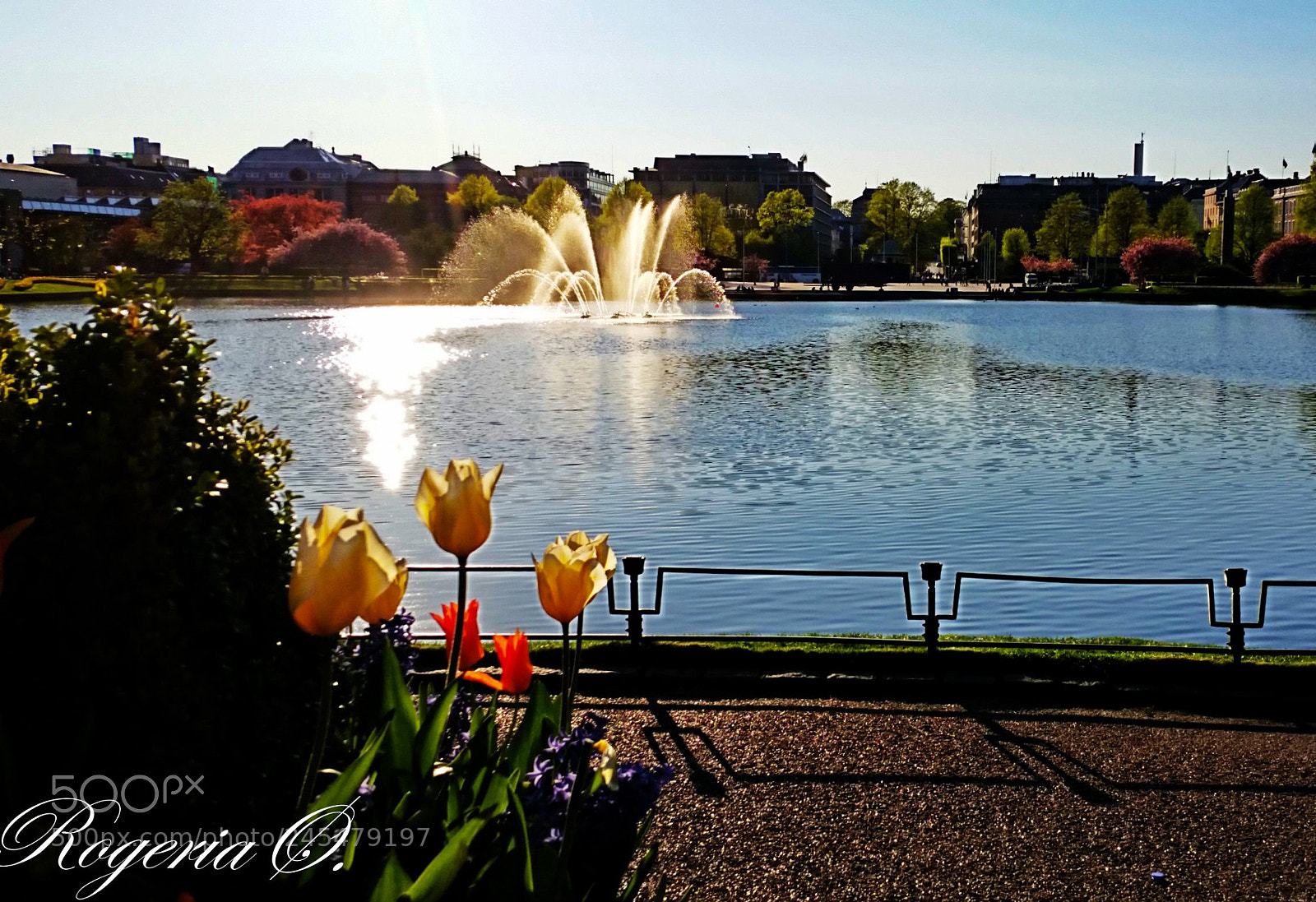 Samsung Galaxy S5 sample photo. 071.jpg photography