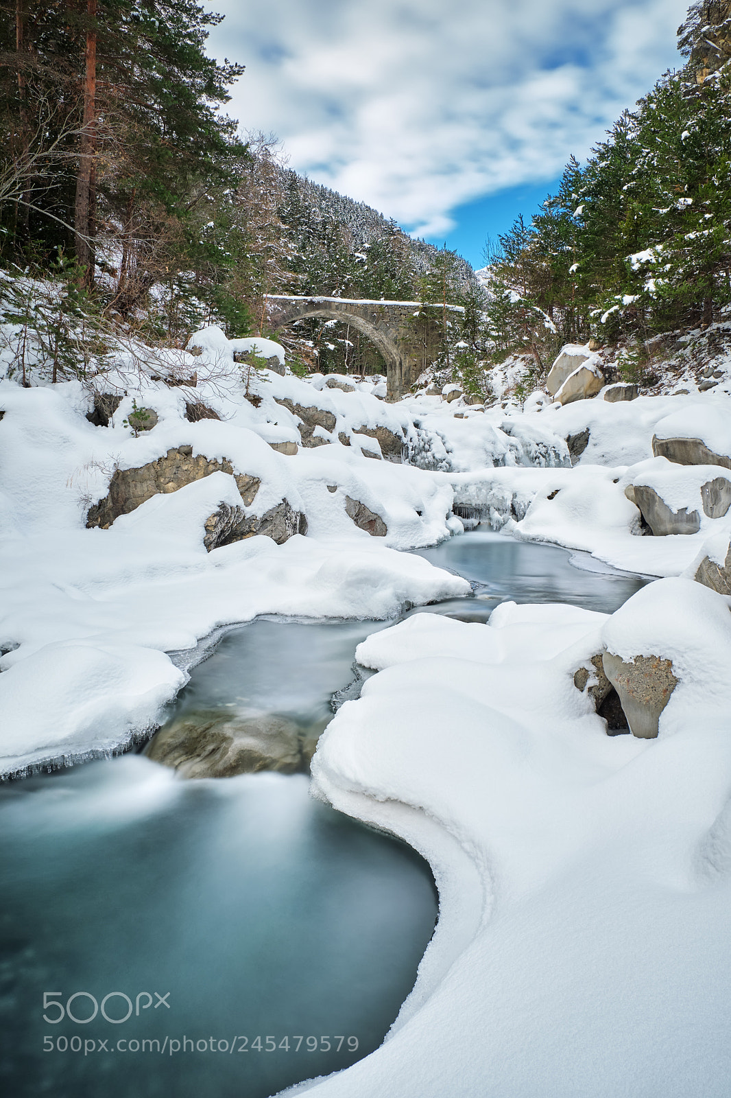 Fujifilm XF 18-55mm F2.8-4 R LM OIS sample photo. Ardon photography