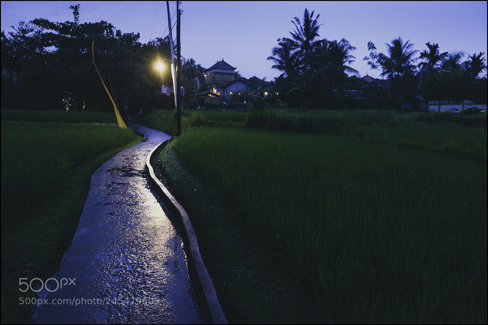 Fujifilm X-T1 sample photo. The evening path home. photography