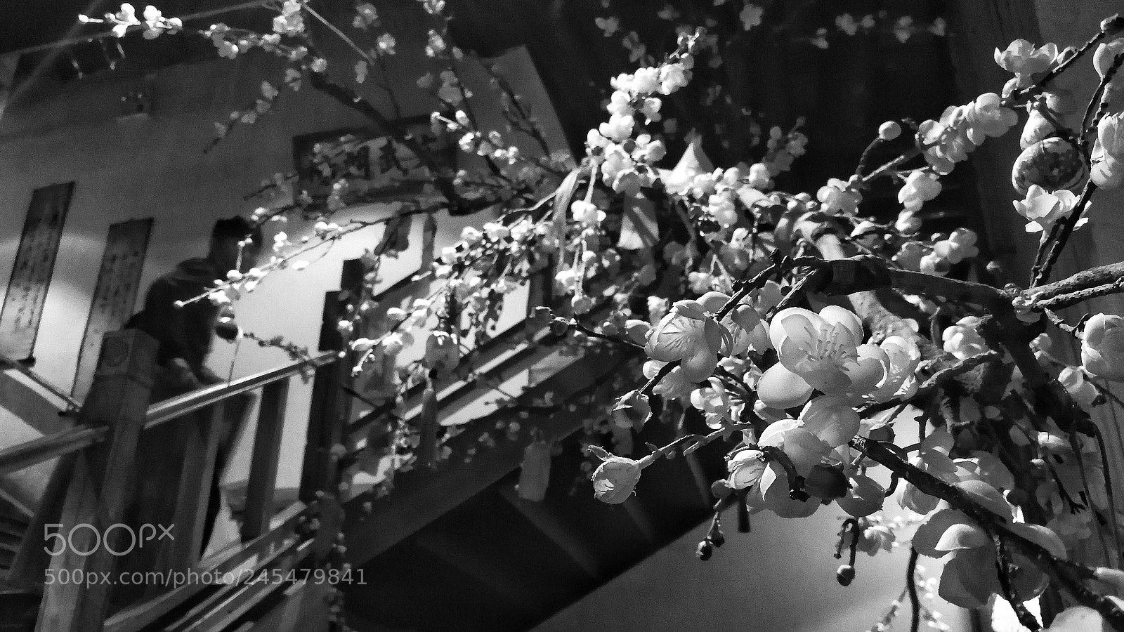 HUAWEI P10 sample photo. Untitled photography