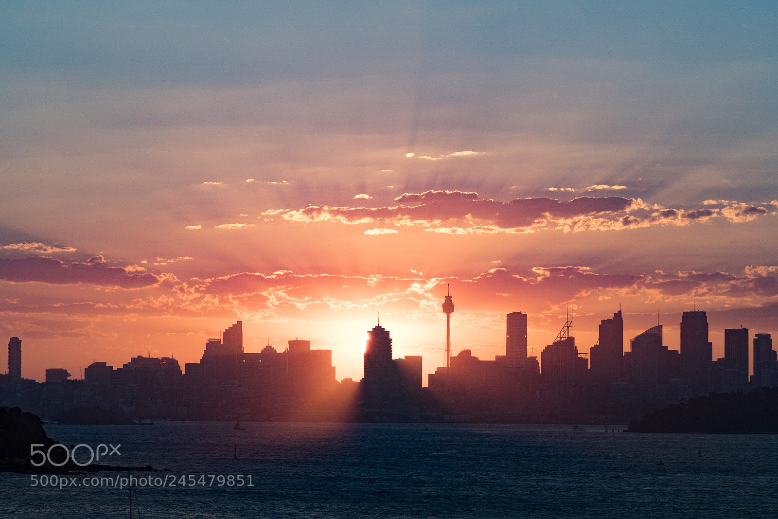 Sony a7R II sample photo. Light hunters photography