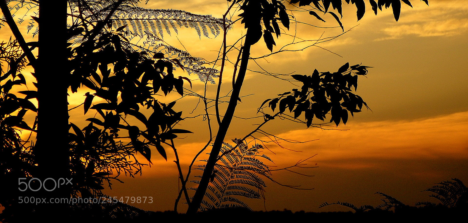 Fujifilm FinePix SL1000 sample photo. Sunset .... photography