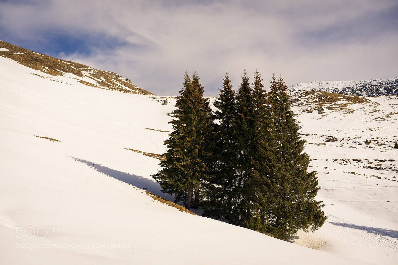 Sony a7R III sample photo. Together photography