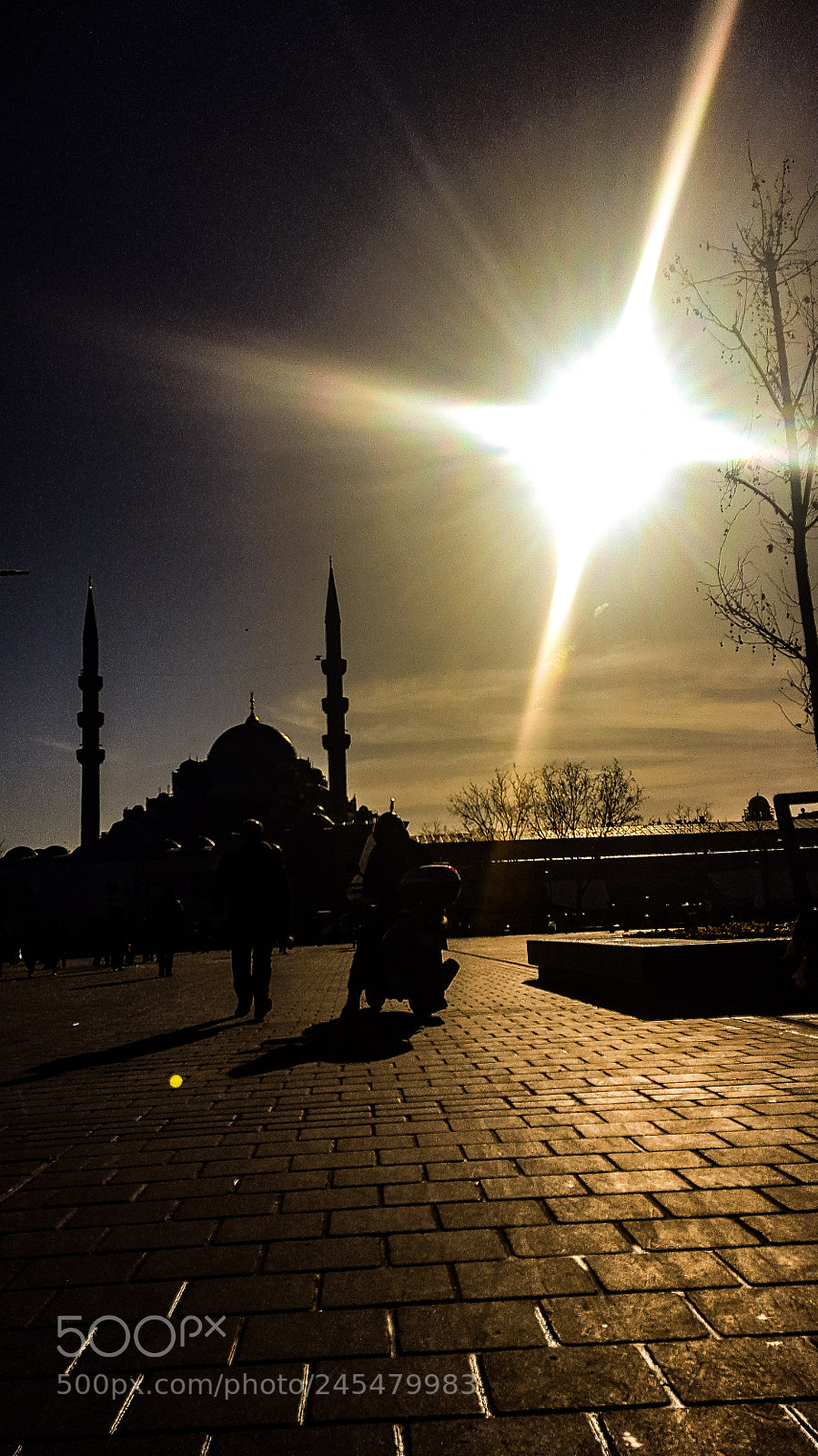 Samsung GALAXY S6 edge sample photo. Untitled photography