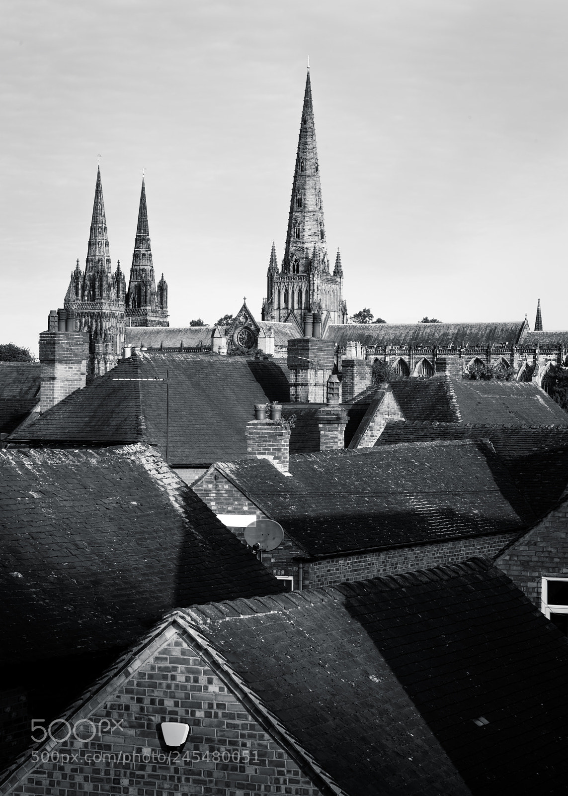 Nikon D810 sample photo. Lichfield cathedral over the photography