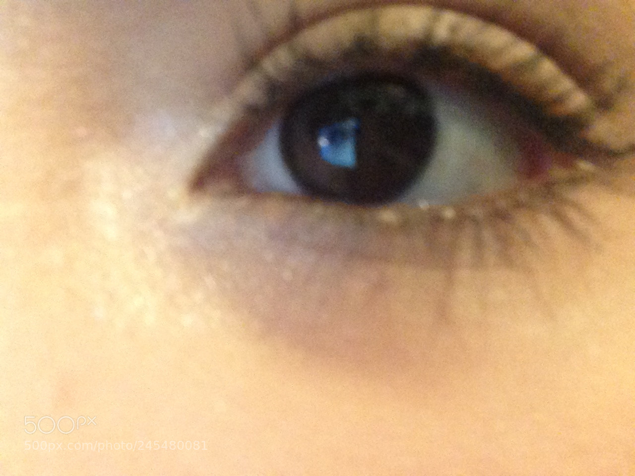 Apple iPhone 5 sample photo. Untitled photography
