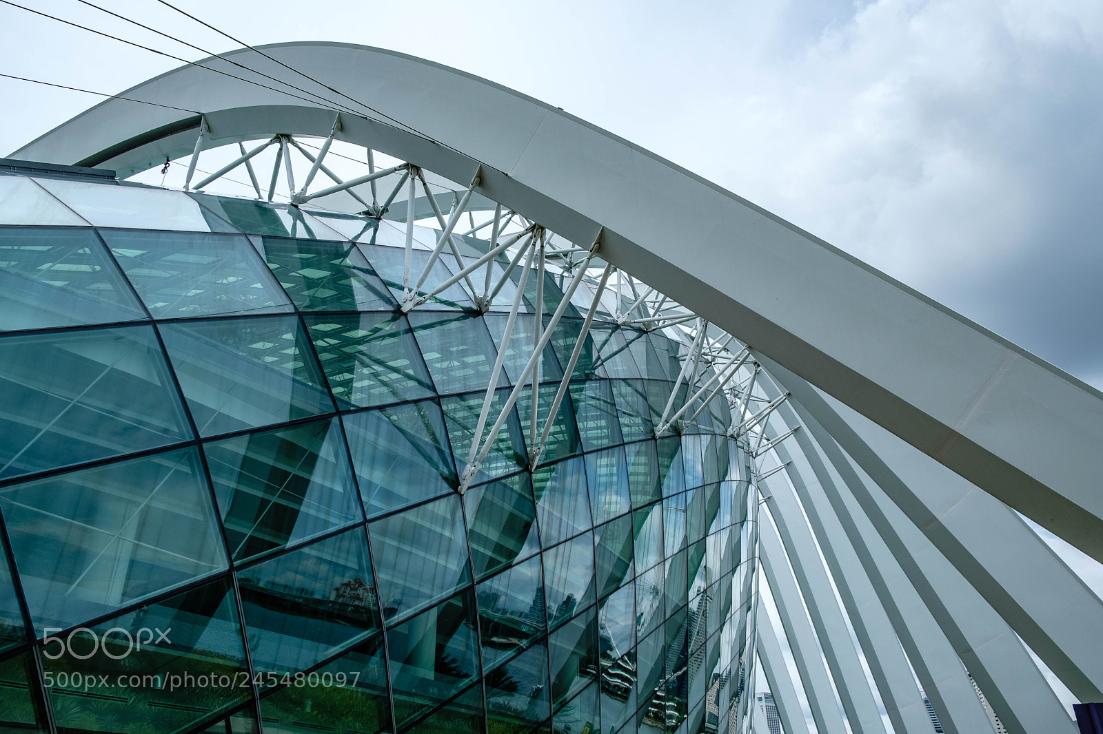 Fujifilm X-T2 sample photo. Cloud forest photography