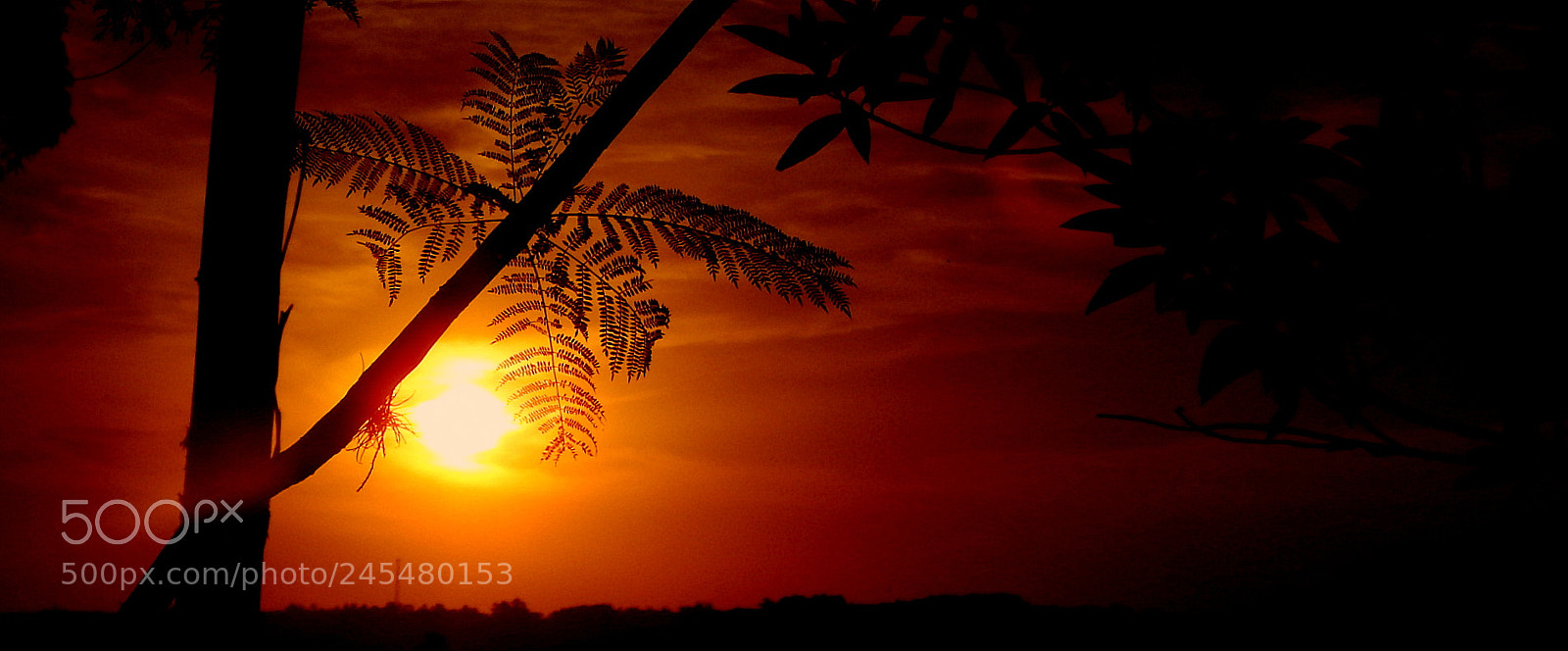 Fujifilm FinePix SL1000 sample photo. Silhouettes .... photography