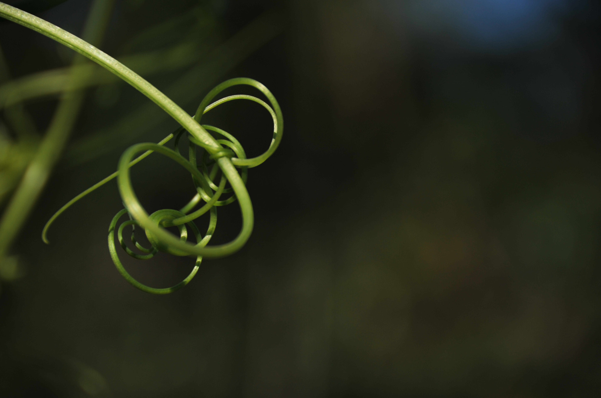 Nikon D3S sample photo. .. photography