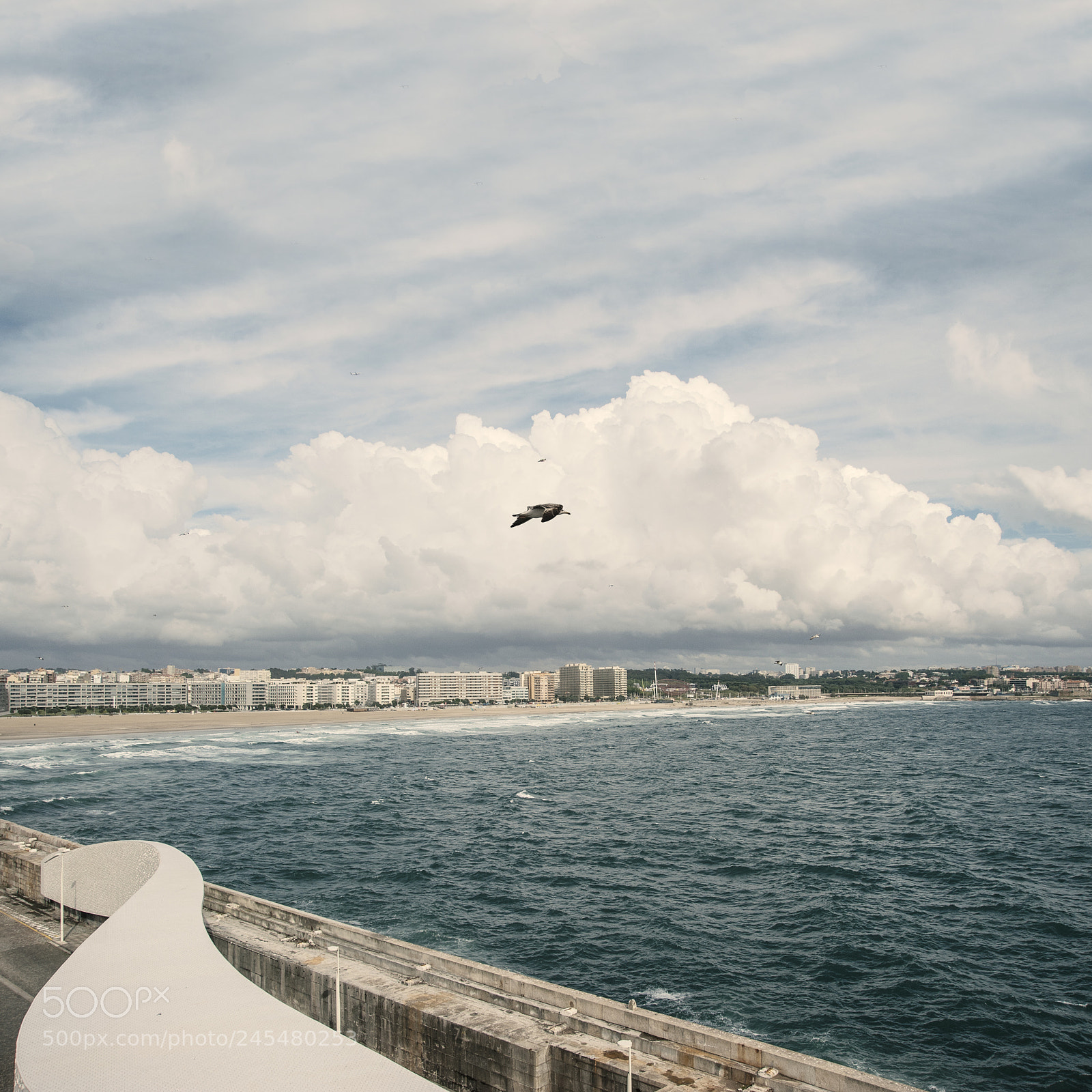 Nikon D700 sample photo. Inhale exhale photography