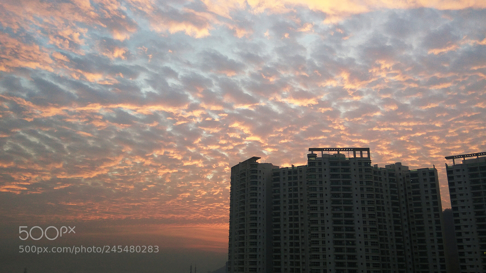 Xiaomi Redmi Note3 sample photo. Untitled photography