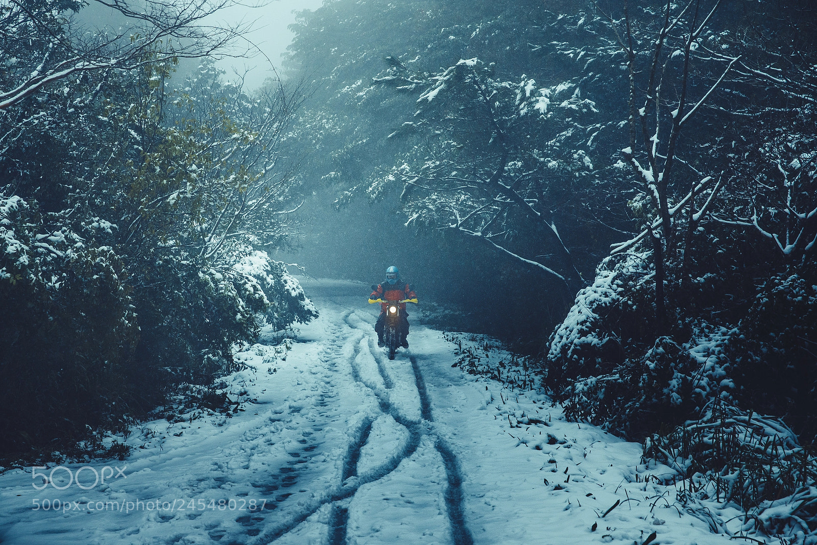 Nikon D600 sample photo. In the snow photography