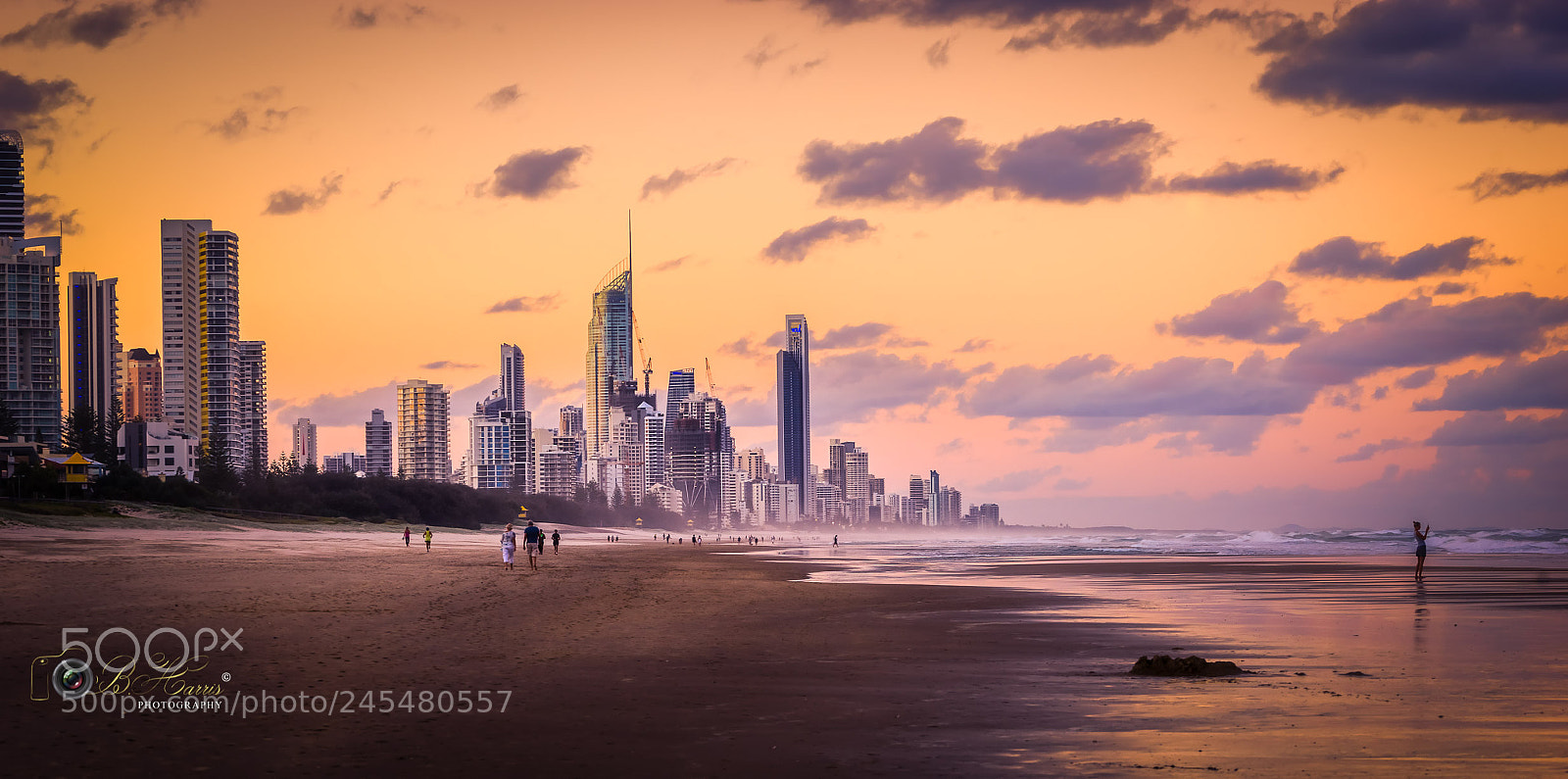Sony a7 II sample photo. Gold coast queensland. photography