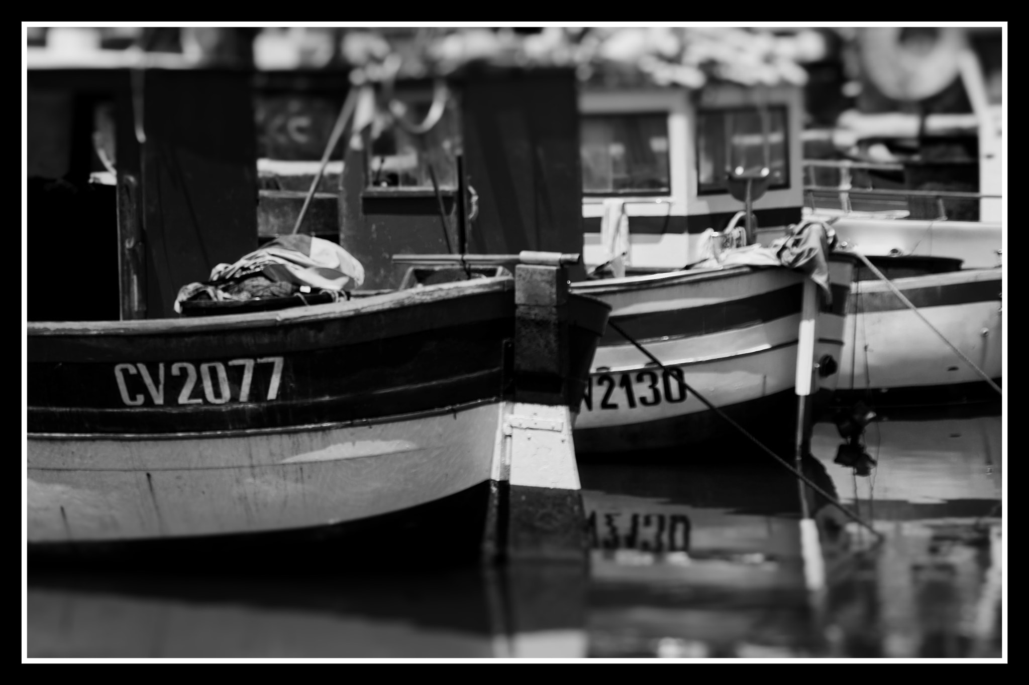 Sigma SD14 sample photo. Untitled photography