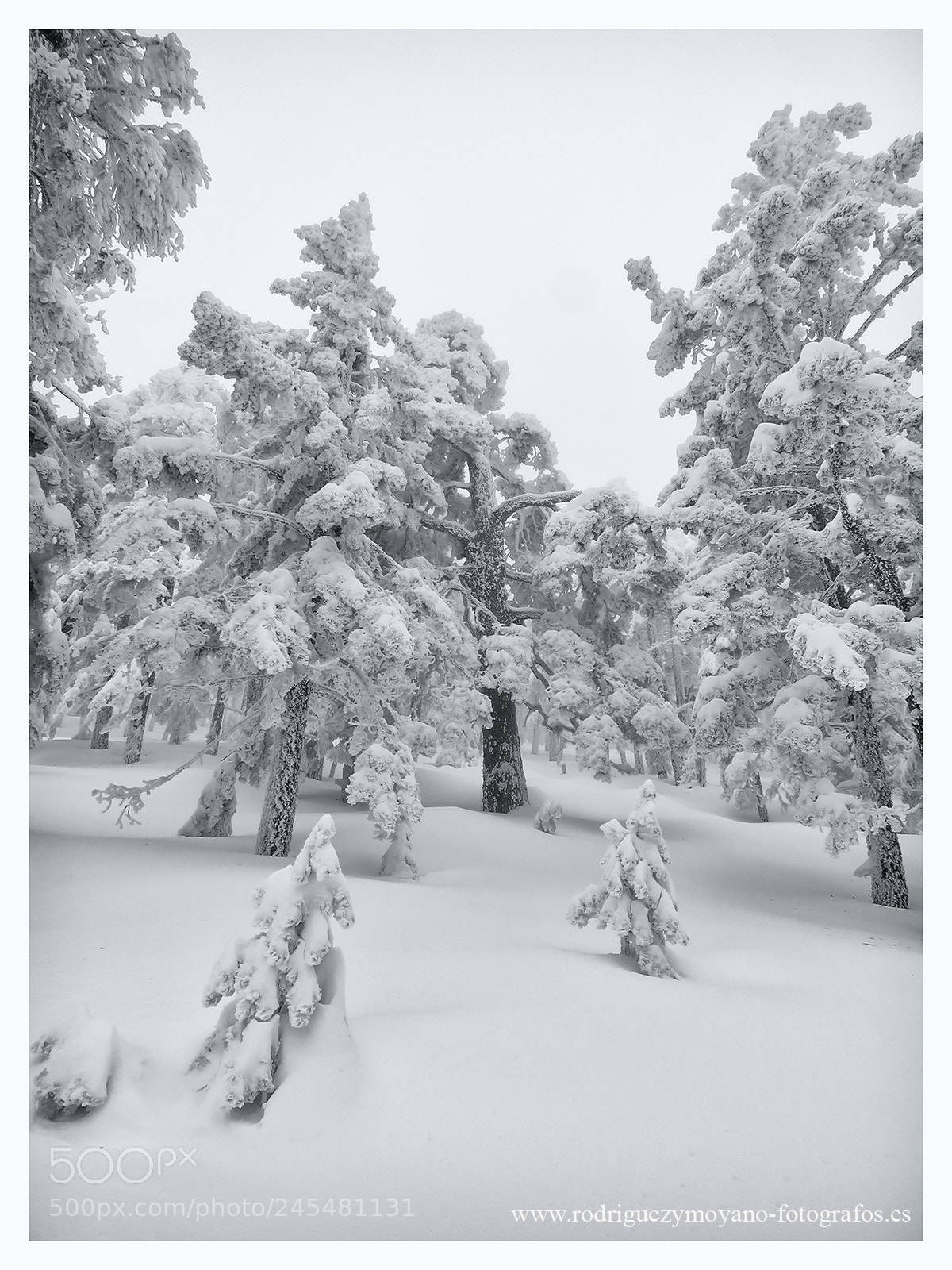 Canon PowerShot SX60 HS sample photo. Invierno en el guadarrama photography