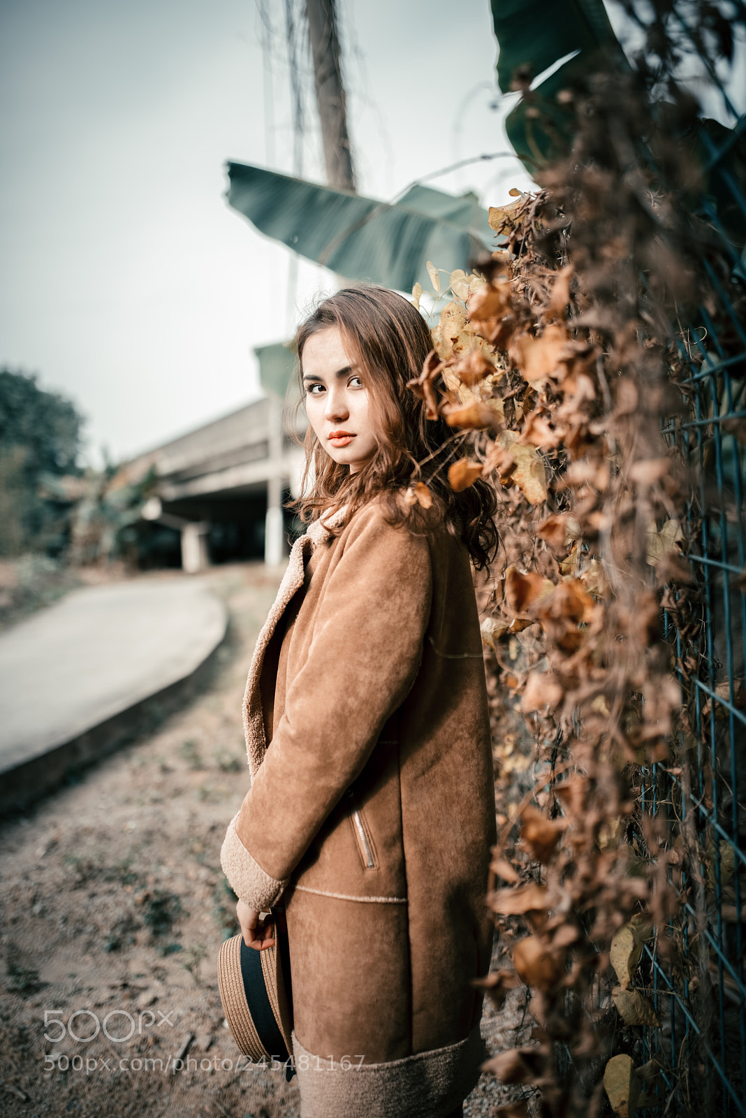 Nikon D810 sample photo. Untitled photography